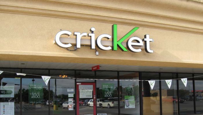 Cricket